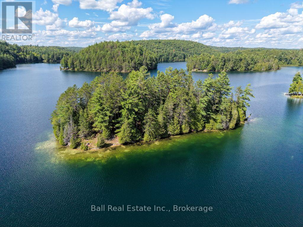 0 Wao Mayo Lake, Carlow/mayo (Mayo Ward), Ontario  K0L 2M0 - Photo 25 - X13692096