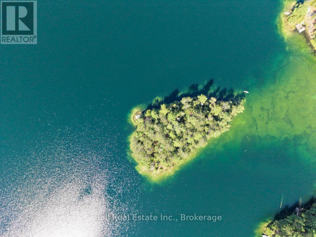 0 Wao Mayo Lake, Carlow/mayo (Mayo Ward), Ontario  K0L 2M0 - Photo 27 - X13692096