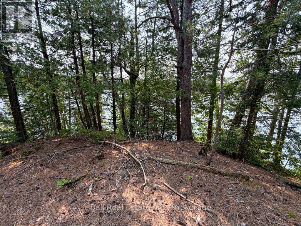 0 Wao Mayo Lake, Carlow/mayo (Mayo Ward), Ontario  K0L 2M0 - Photo 40 - X13692096