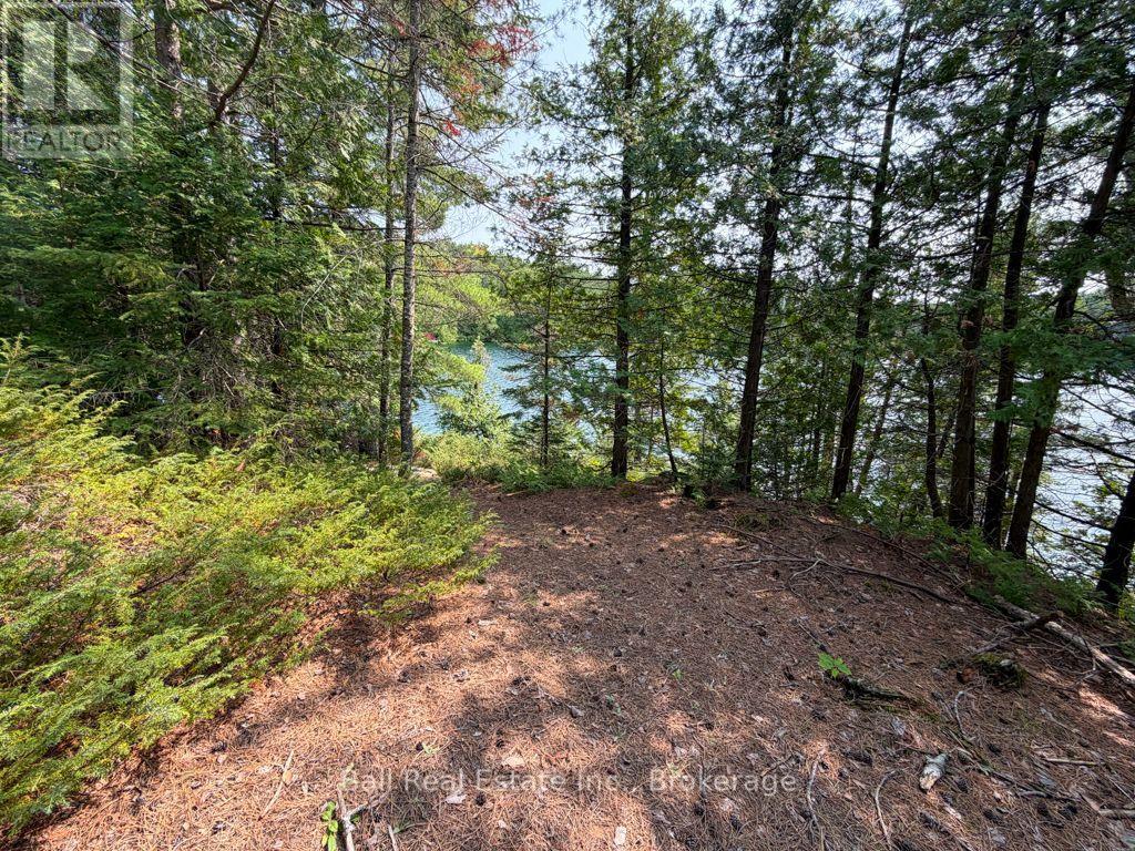 0 Wao Mayo Lake, Carlow/mayo (Mayo Ward), Ontario  K0L 2M0 - Photo 41 - X13692096