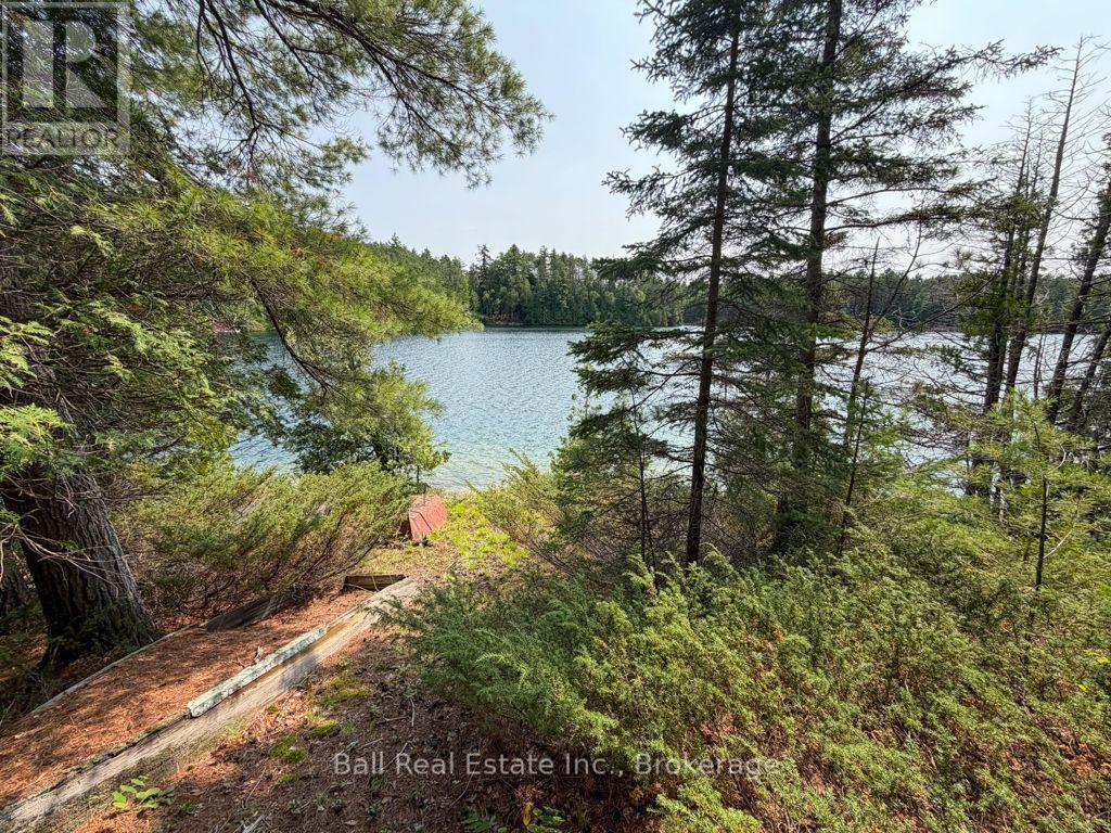 0 Wao Mayo Lake, Carlow/mayo (Mayo Ward), Ontario  K0L 2M0 - Photo 42 - X13692096