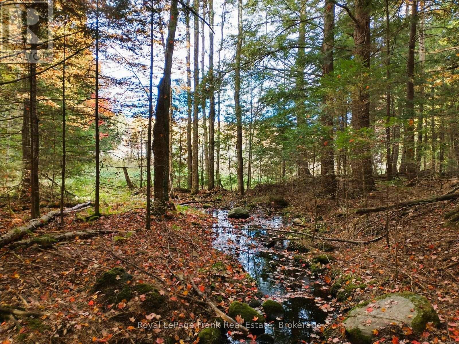 0 North Rusaw Road, North Kawartha, Ontario  K0L 1A0 - Photo 19 - X13693560