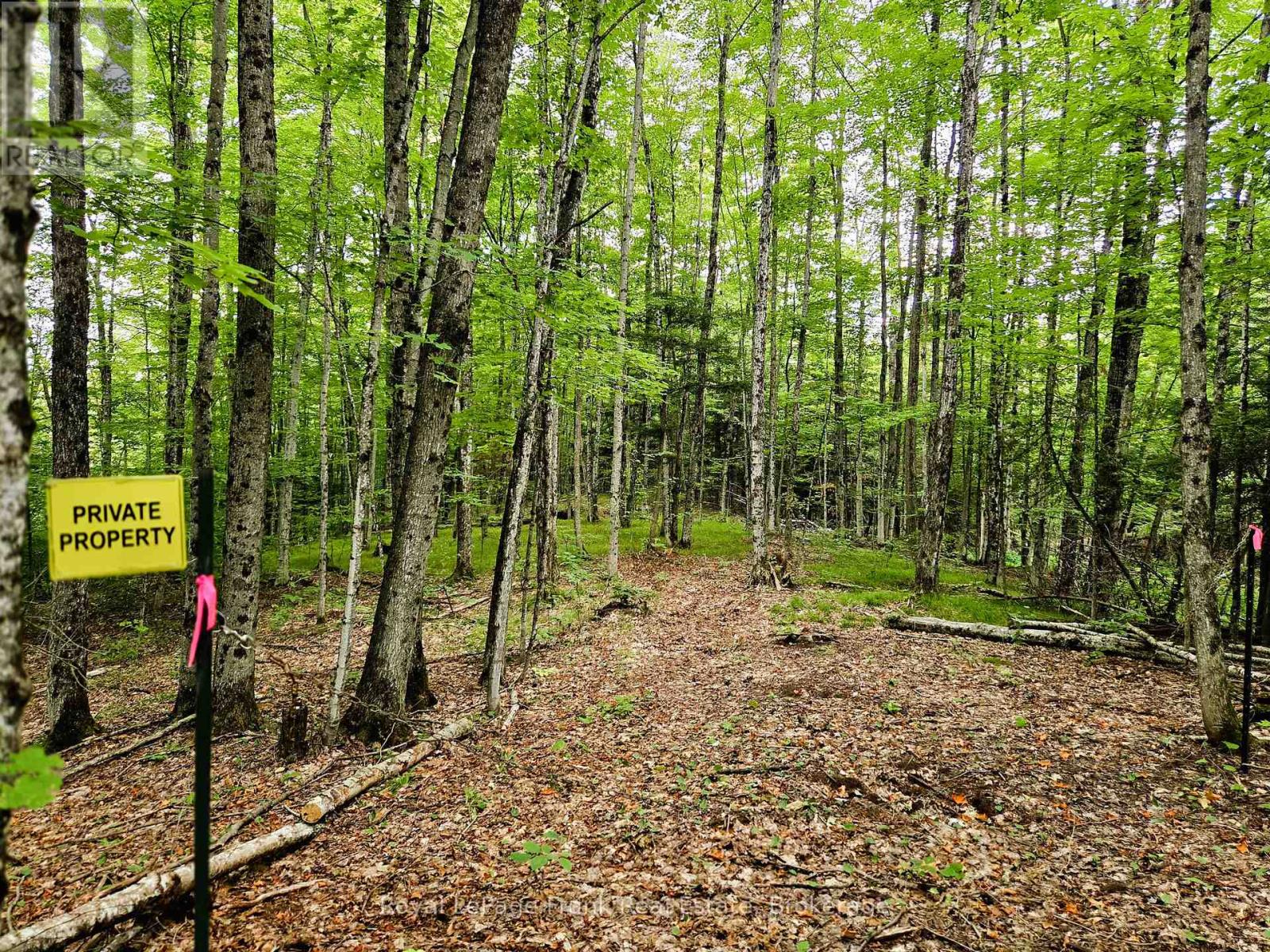 0 North Rusaw Road, North Kawartha, Ontario  K0L 1A0 - Photo 21 - X13693560