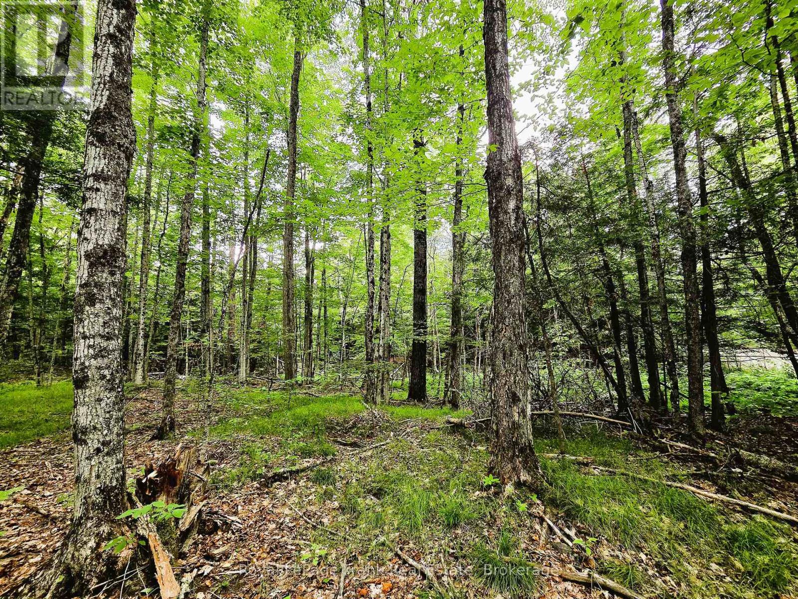 0 North Rusaw Road, North Kawartha, Ontario  K0L 1A0 - Photo 23 - X13693560