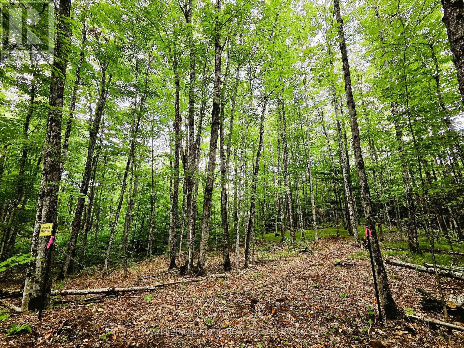0 North Rusaw Road, North Kawartha, Ontario  K0L 1A0 - Photo 25 - X13693560