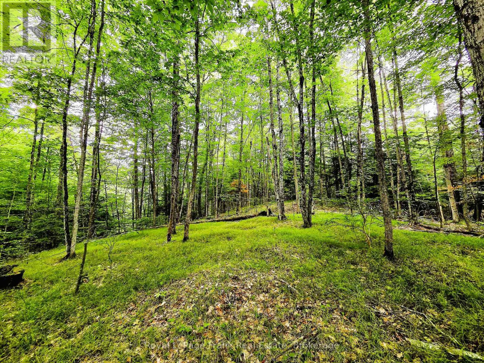 0 North Rusaw Road, North Kawartha, Ontario  K0L 1A0 - Photo 27 - X13693560
