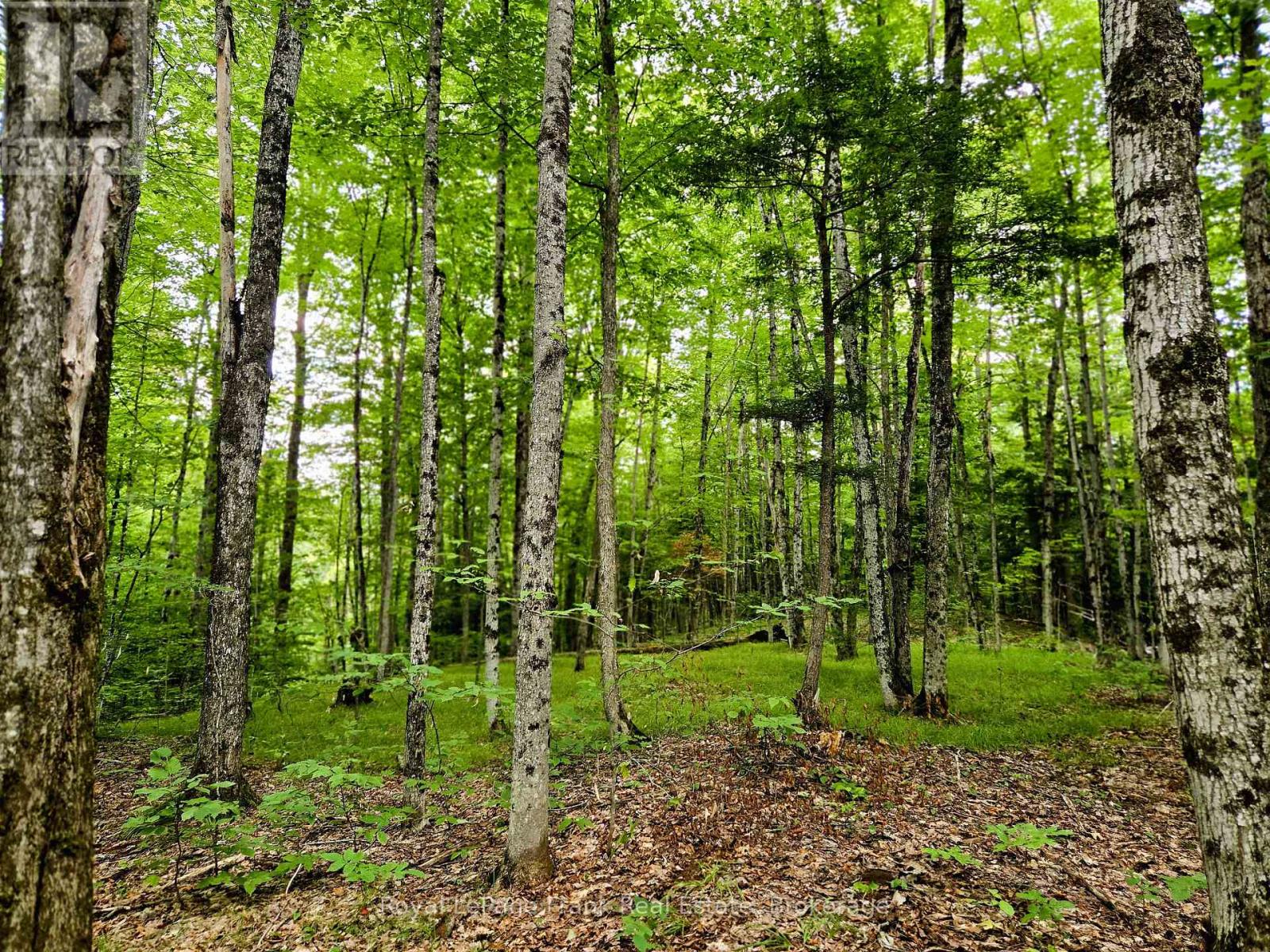 0 North Rusaw Road, North Kawartha, Ontario  K0L 1A0 - Photo 28 - X13693560