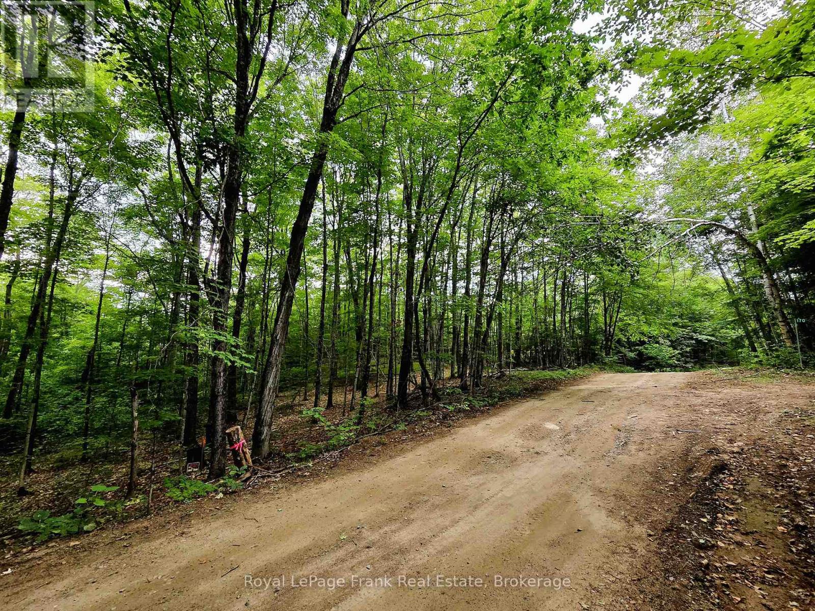 0 North Rusaw Road, North Kawartha, Ontario  K0L 1A0 - Photo 29 - X13693560