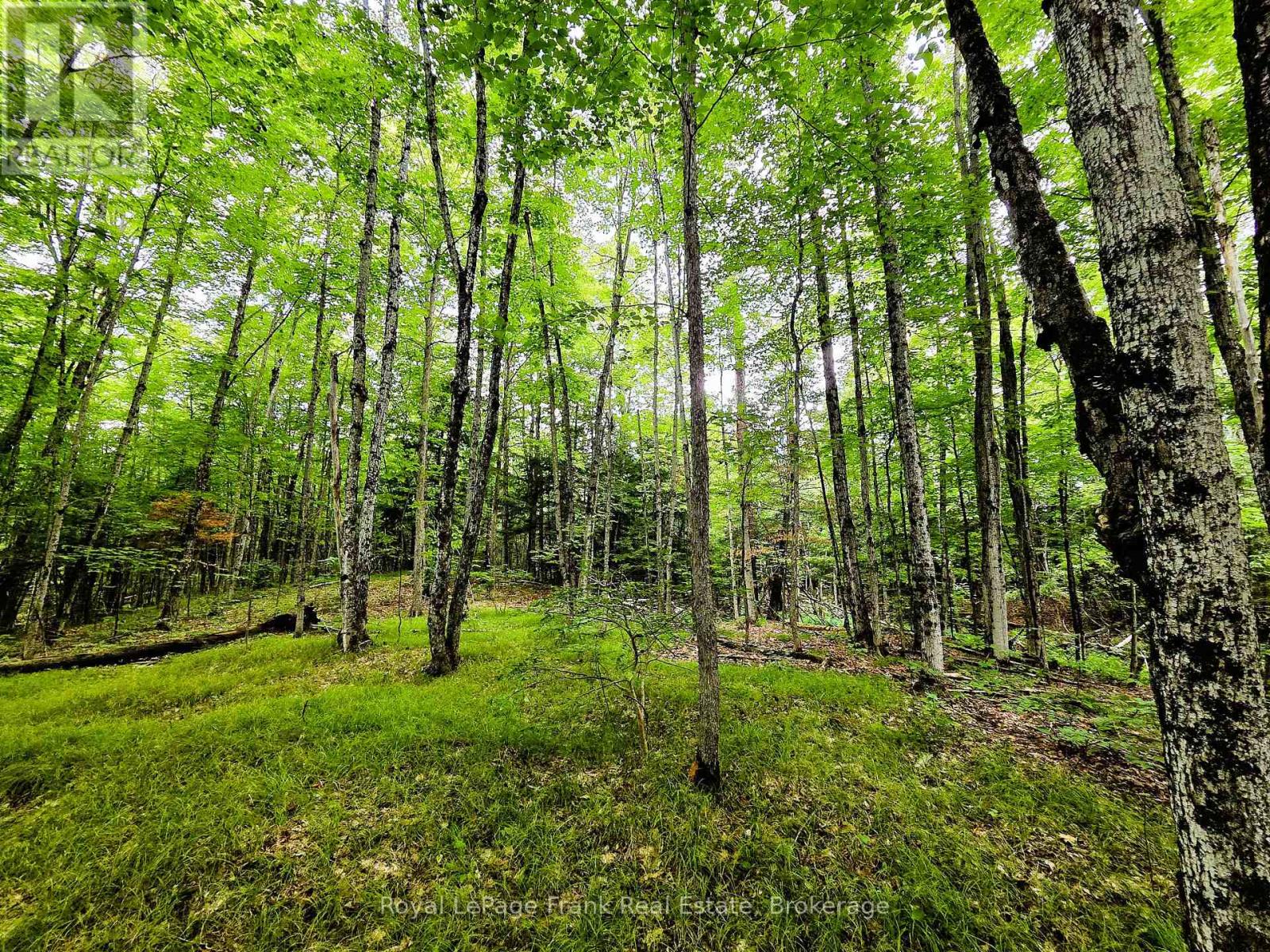 0 North Rusaw Road, North Kawartha, Ontario  K0L 1A0 - Photo 30 - X13693560