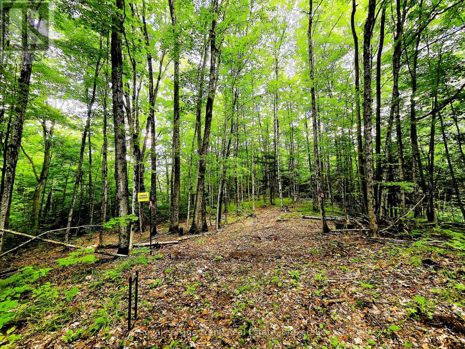 0 North Rusaw Road, North Kawartha, Ontario  K0L 1A0 - Photo 31 - X13693560