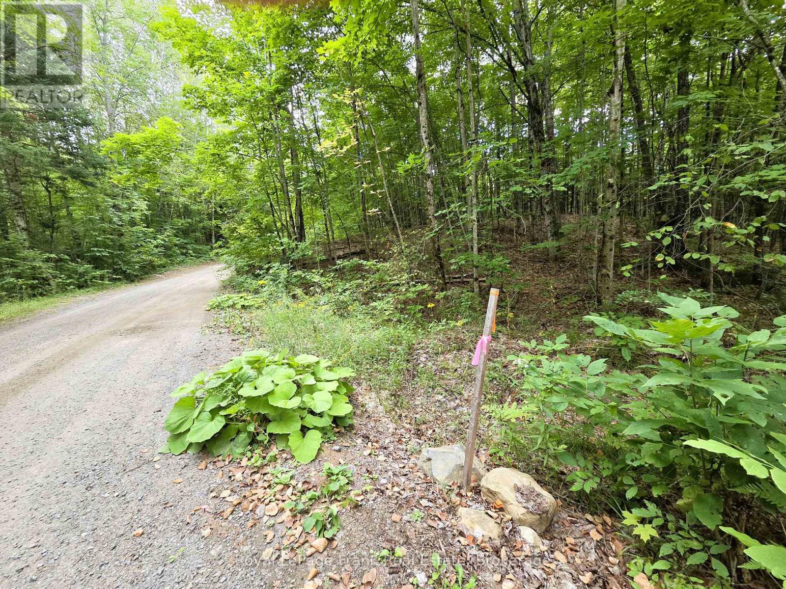 0 North Rusaw Road, North Kawartha, Ontario  K0L 1A0 - Photo 33 - X13693560