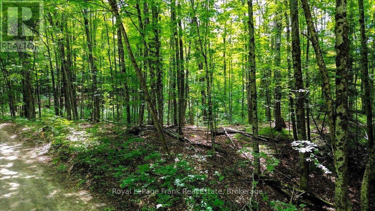 0 North Rusaw Road, North Kawartha, Ontario  K0L 1A0 - Photo 6 - X13693560