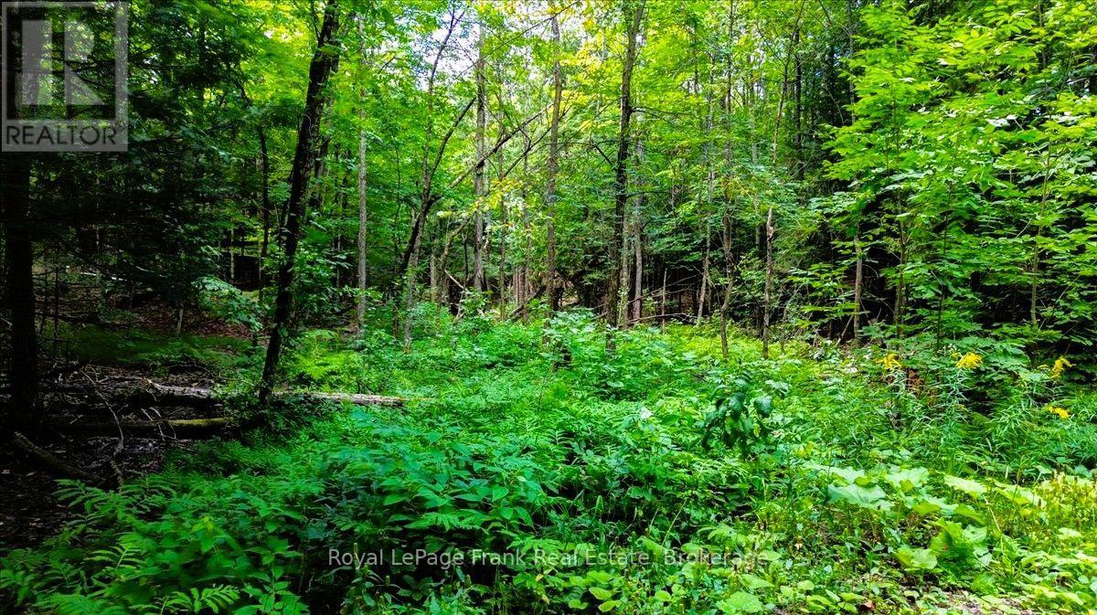0 North Rusaw Road, North Kawartha, Ontario  K0L 1A0 - Photo 7 - X13693560
