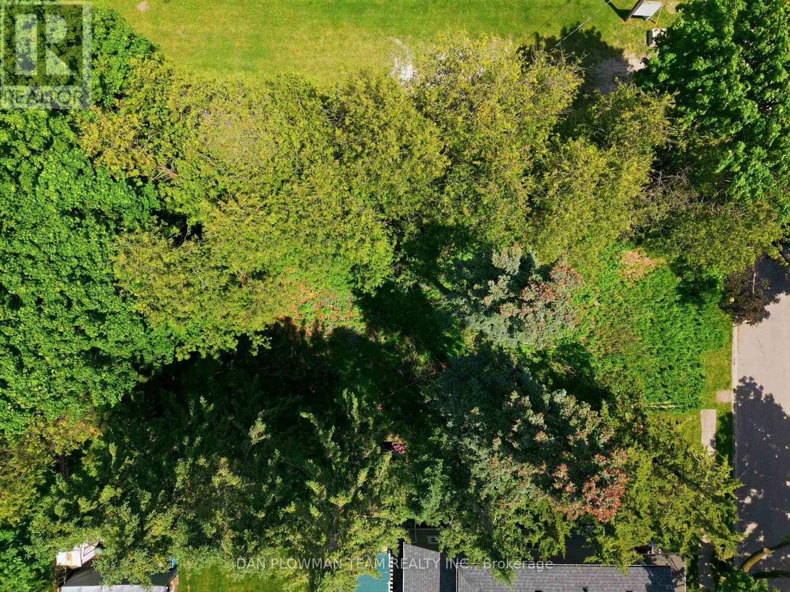 38 Park Street, Clarington (Orono), Ontario  L1B 1H2 - Photo 7 - E13698240