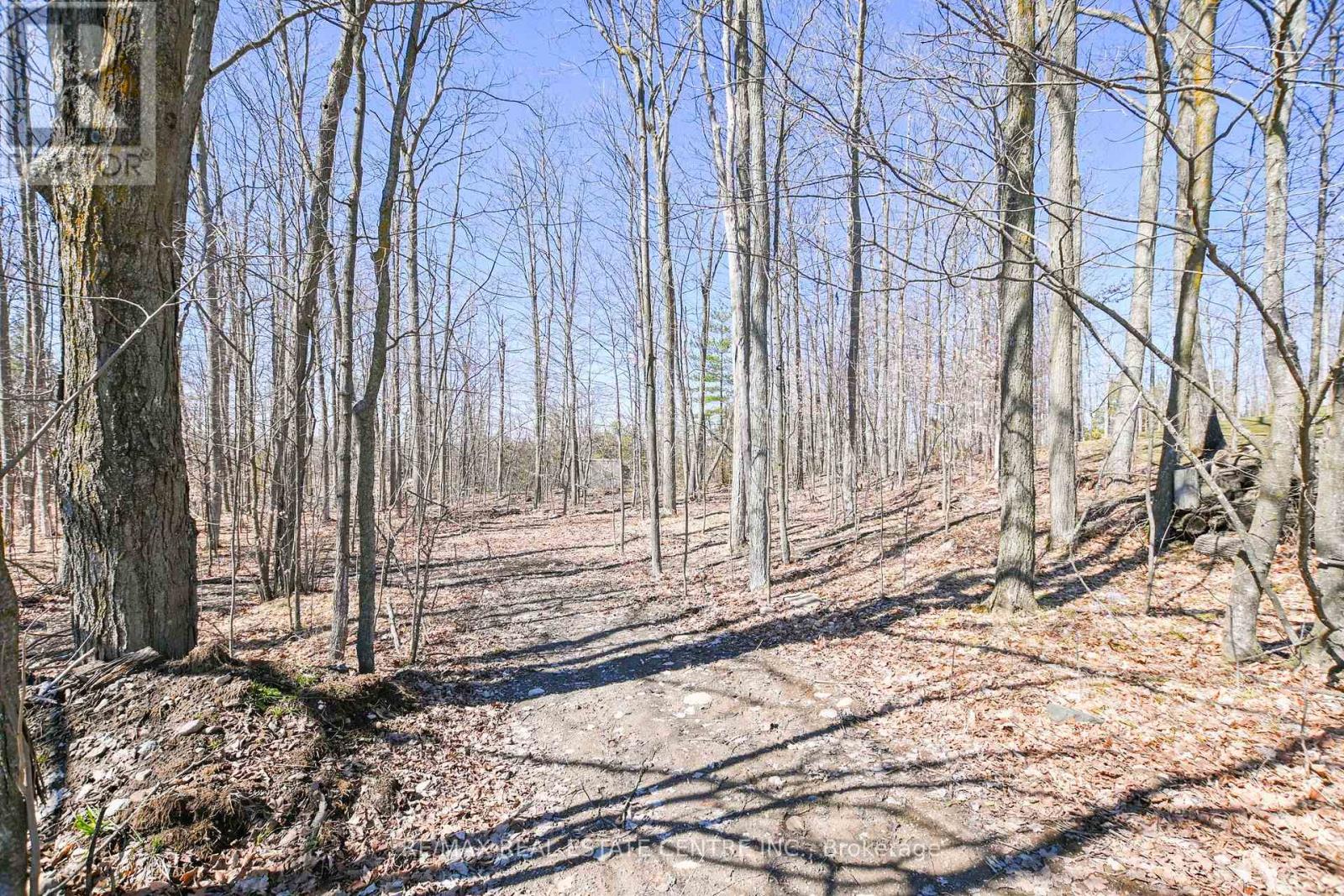 1765 10th Line West, Trent Hills (Campbellford), Ontario  K0L 1L0 - Photo 39 - X13698984