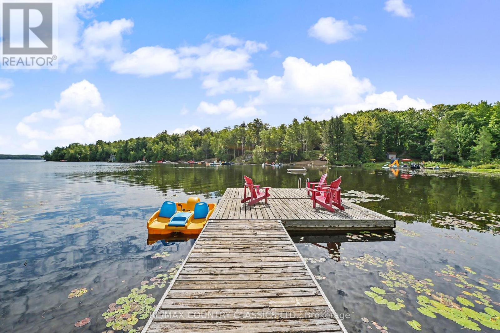 203 Doc Evans Road, North Kawartha, Ontario  K0L 1A0 - Photo 24 - X13699268