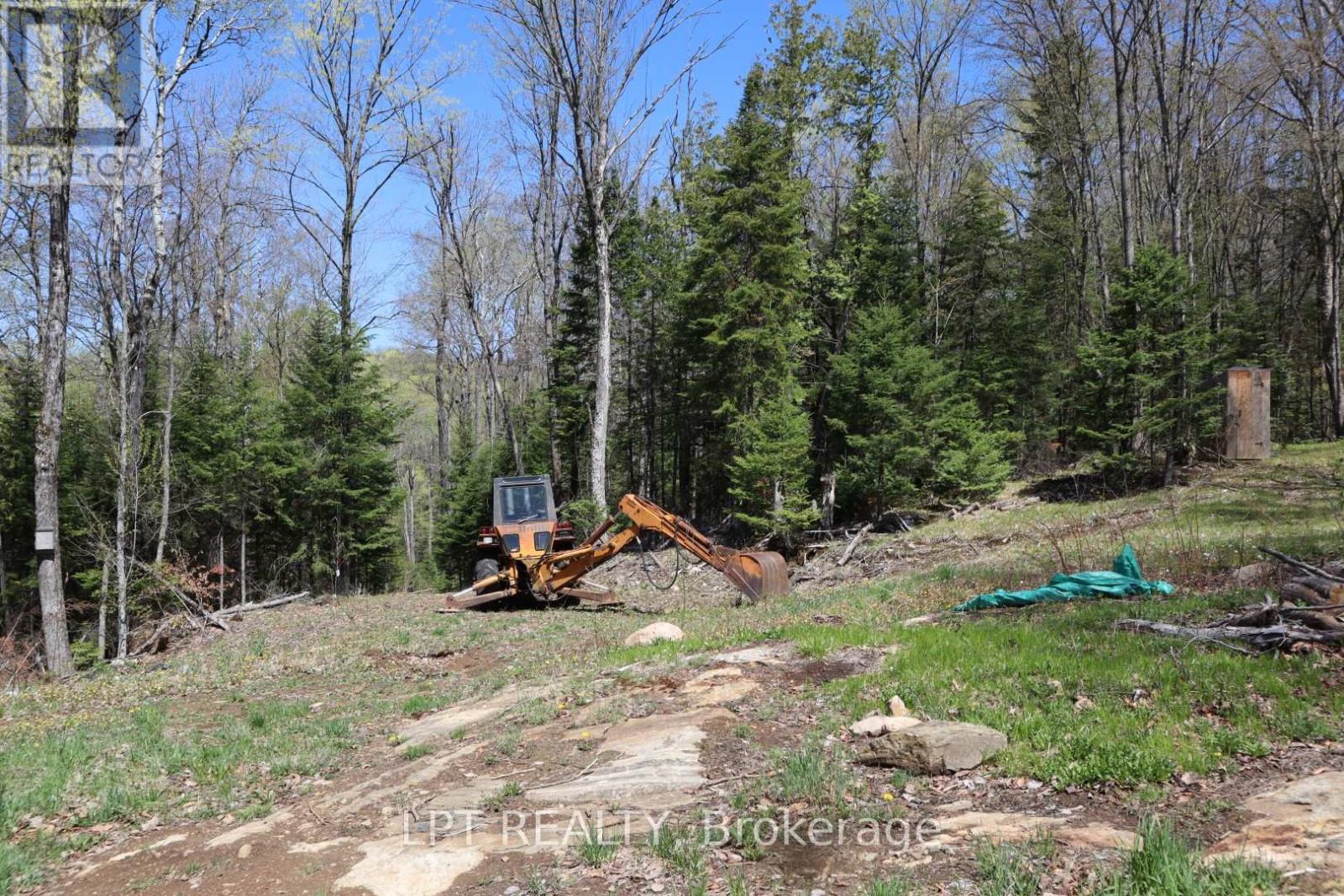 1827 Hybla Road, Hastings Highlands (Monteagle Ward), Ontario  K0L 1C0 - Photo 17 - X13705358