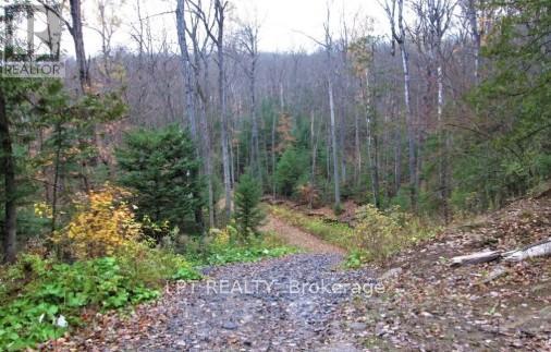 1827 Hybla Road, Hastings Highlands (Monteagle Ward), Ontario  K0L 1C0 - Photo 3 - X13705358