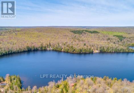 1827 Hybla Road, Hastings Highlands (Monteagle Ward), Ontario  K0L 1C0 - Photo 5 - X13705358