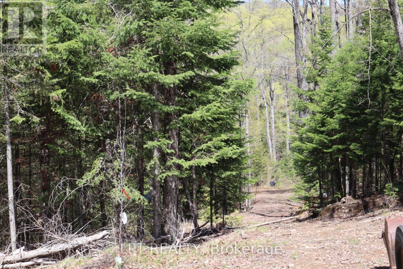 1827 Hybla Road, Hastings Highlands (Monteagle Ward), Ontario  K0L 1C0 - Photo 9 - X13705358