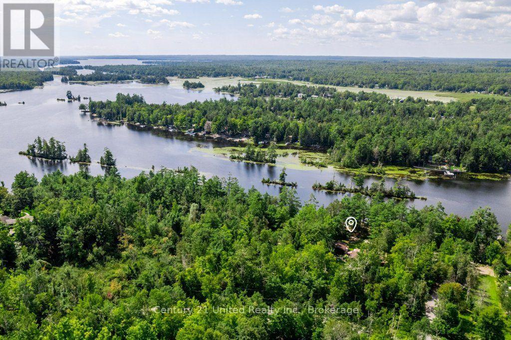 41 Hall Crescent, Trent Lakes, Ontario  K0L 1J0 - Photo 3 - X13709442