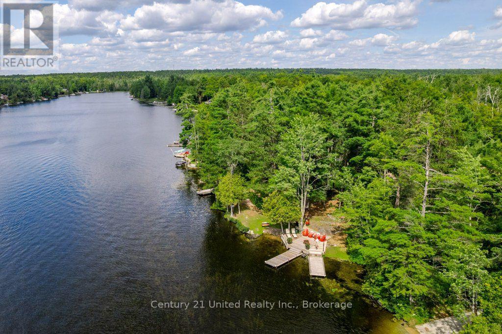41 Hall Crescent, Trent Lakes, Ontario  K0L 1J0 - Photo 7 - X13709442