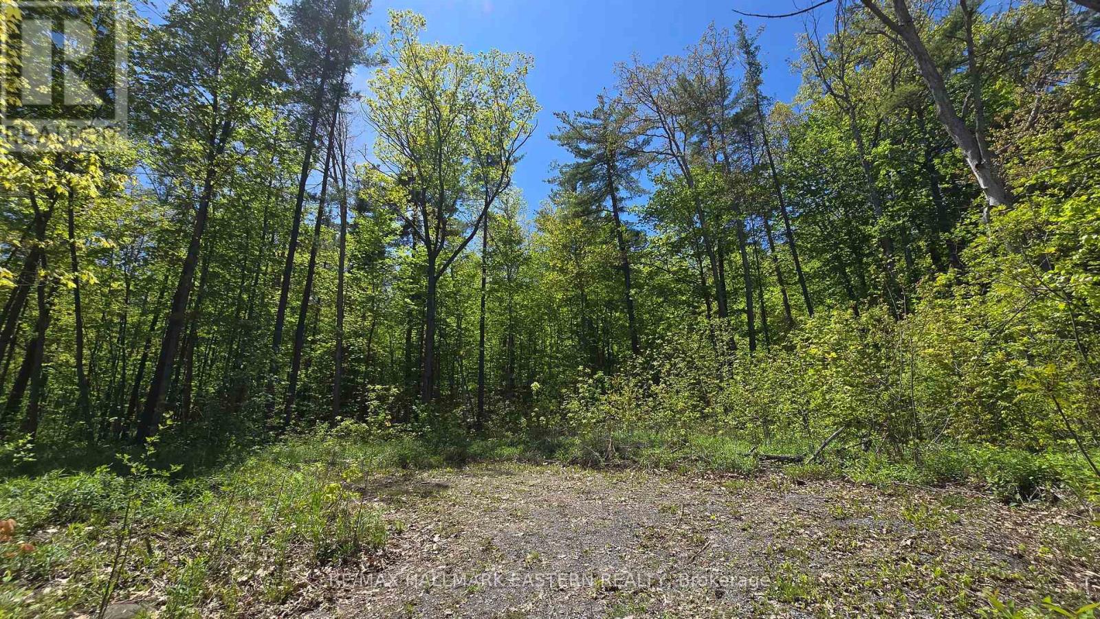 N/a County Road 30, Trent Hills, Ontario  K0L 1L0 - Photo 4 - X13712790