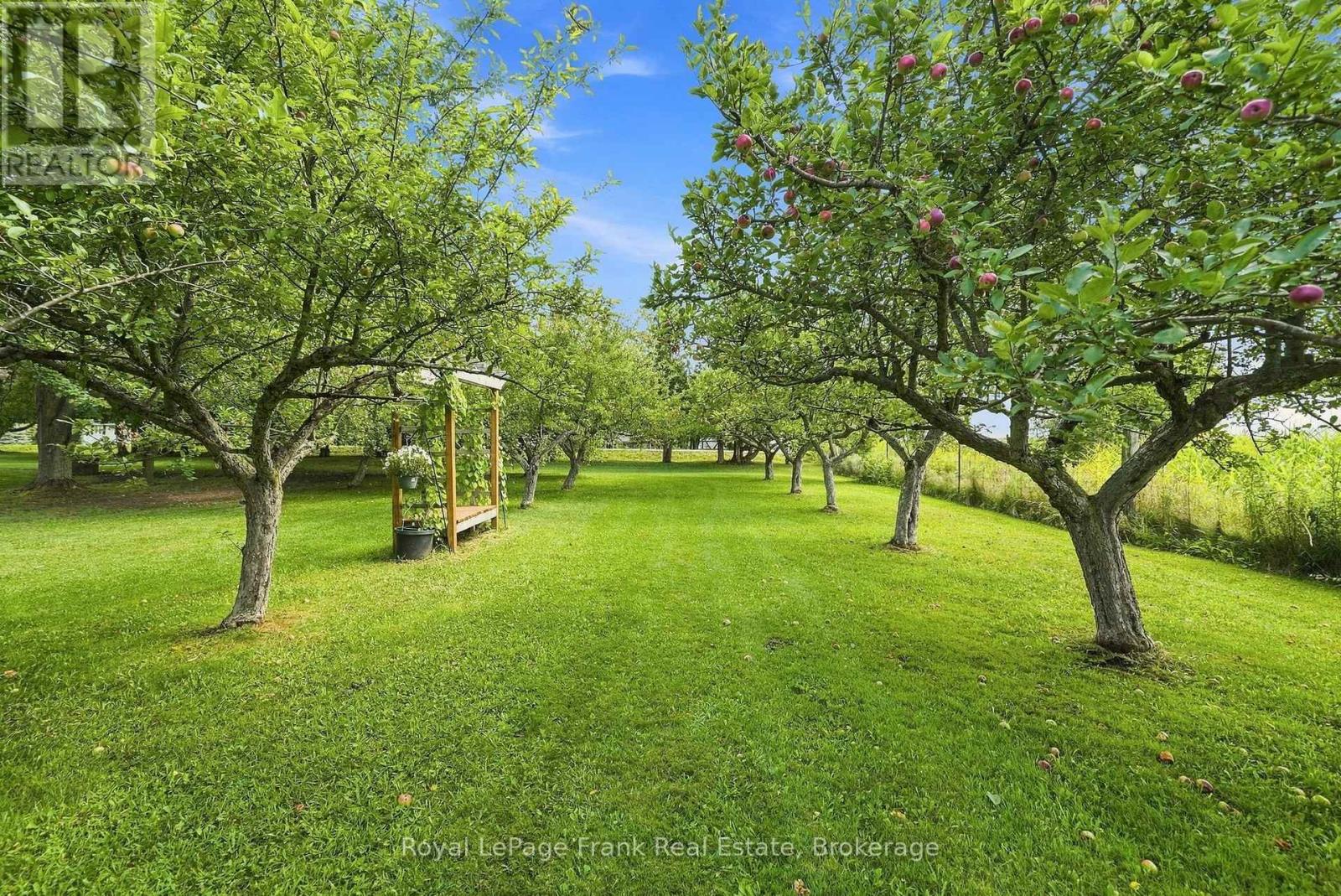 1235 Heights Road, Kawartha Lakes (Lindsay), Ontario  K9V 4R3 - Photo 7 - X13713568