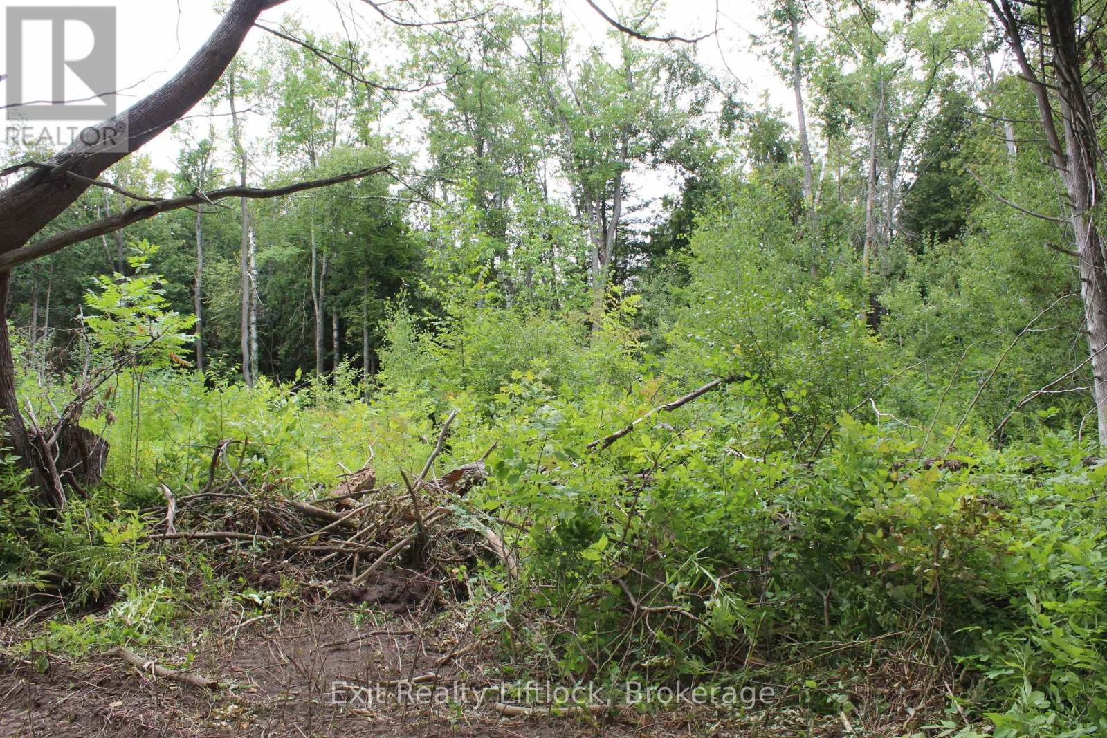 0 Fife's Bay Road, Selwyn, Ontario  K9J 6X3 - Photo 7 - X13714608