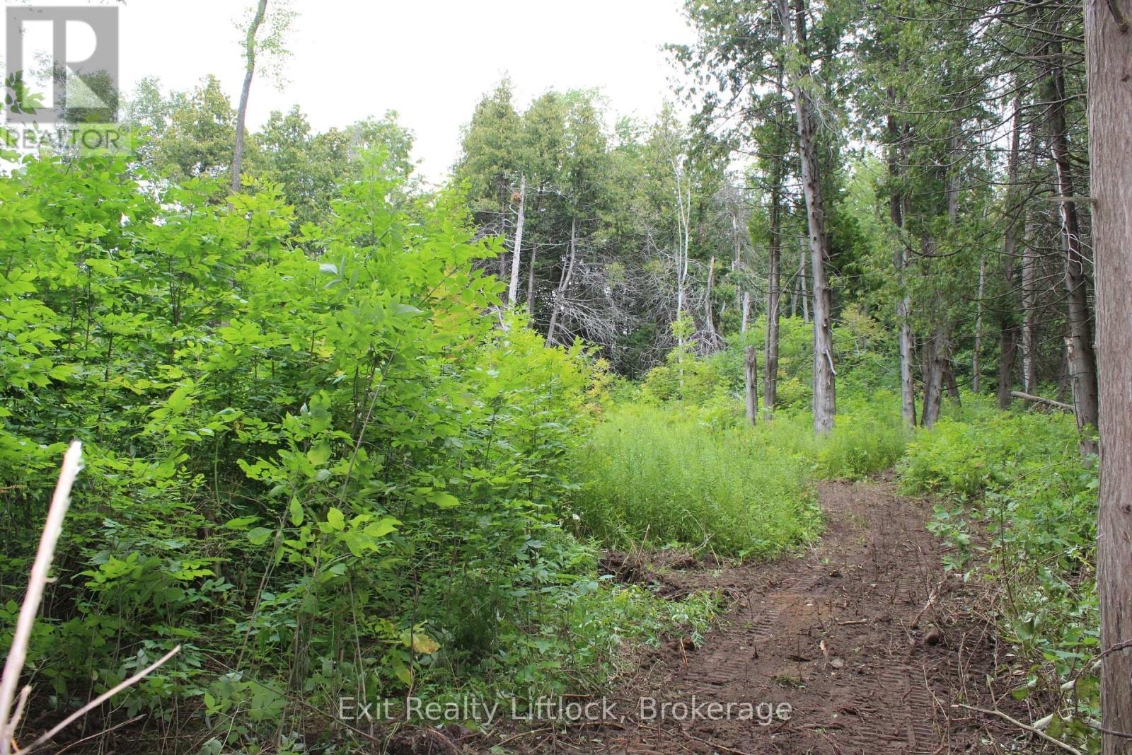 0 Fife's Bay Road, Selwyn, Ontario  K9J 6X3 - Photo 8 - X13714608