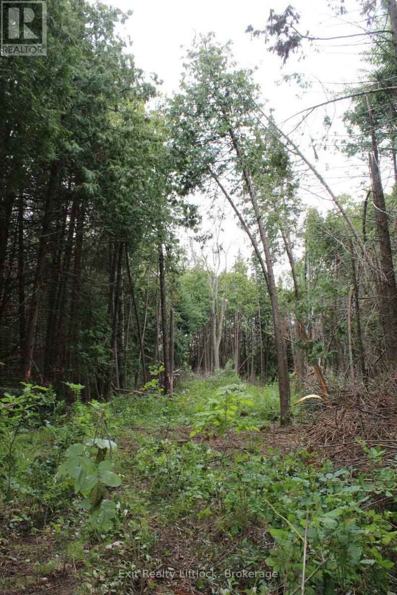 0 Fife's Bay Road, Selwyn, Ontario  K9J 6X3 - Photo 9 - X13714608