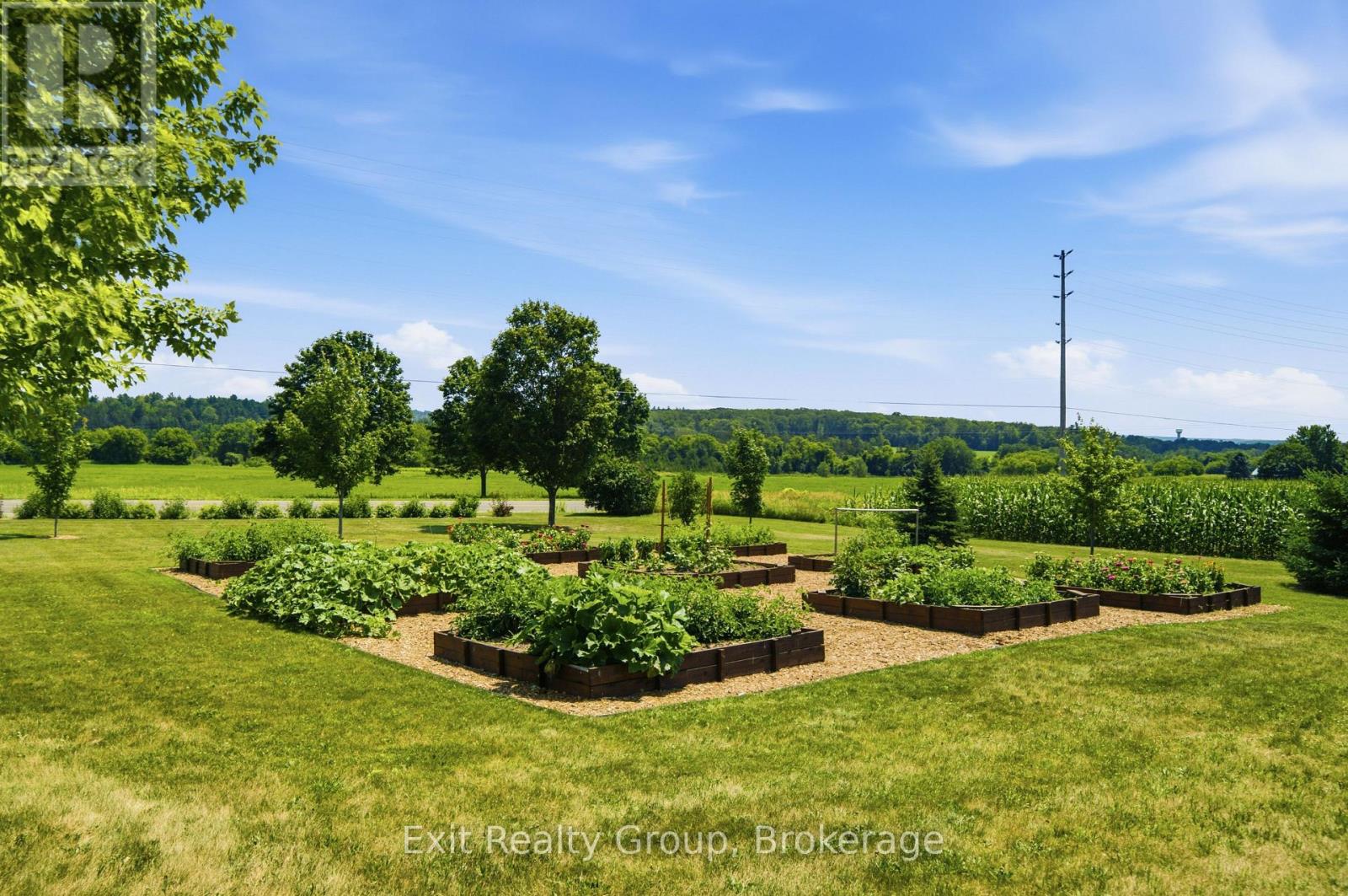 4903 County Rd 30, Trent Hills, Ontario  K0L 1L0 - Photo 45 - X13715108