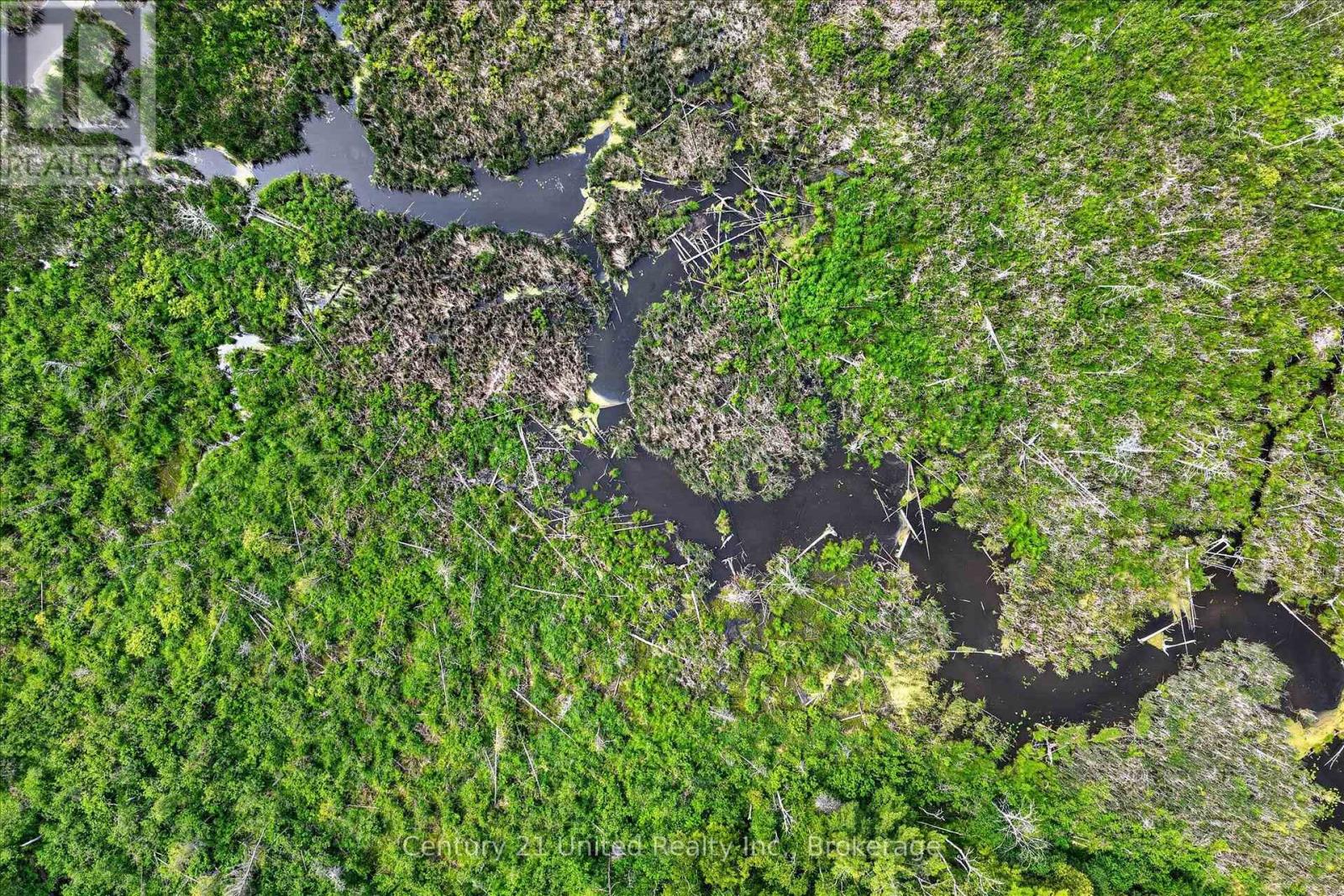 93 Loop Line, Kawartha Lakes (Emily), Ontario  K0L 2W0 - Photo 4 - X13715482