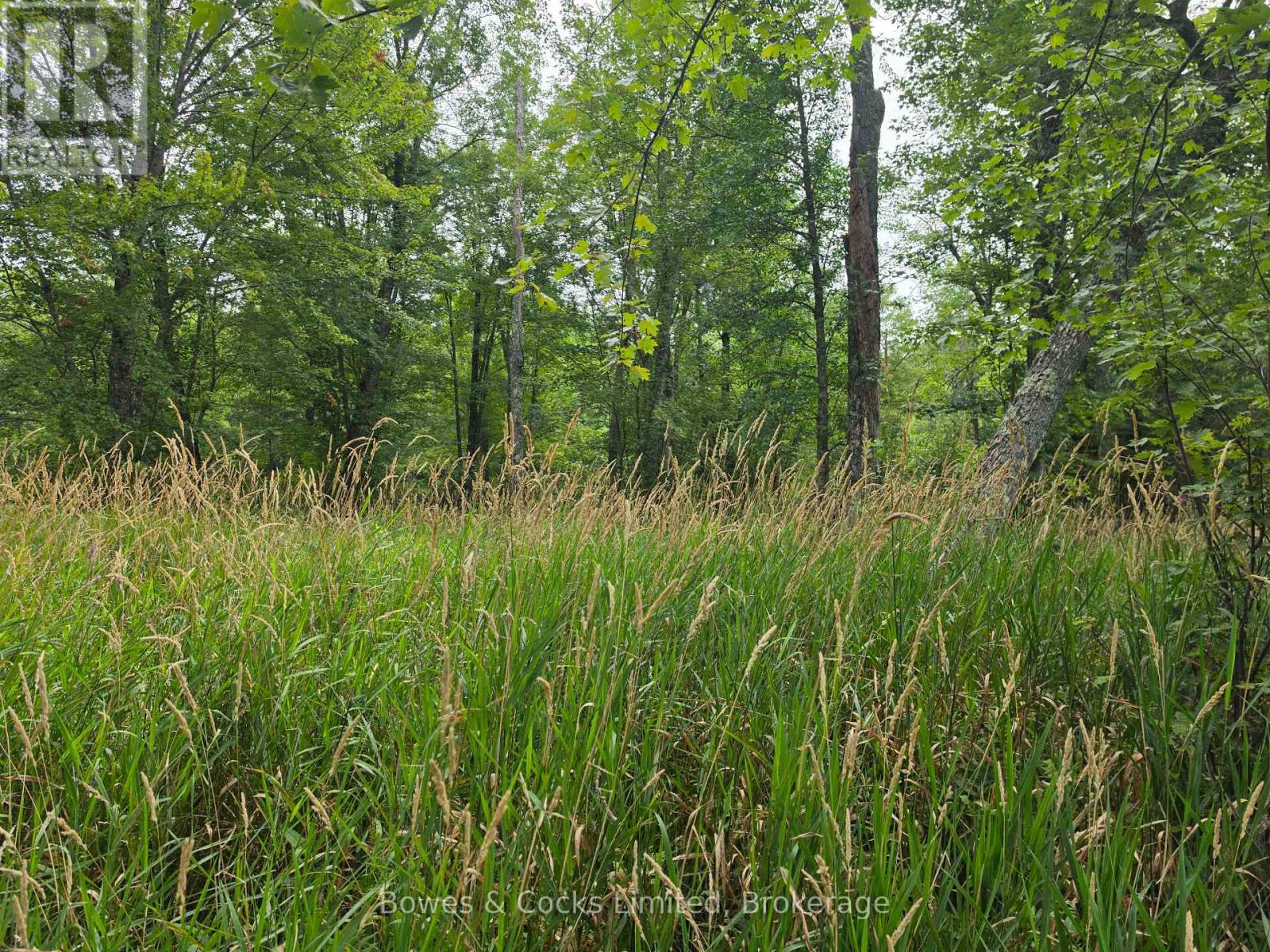 E 1/2 Of W 1/2 Lt 28 Concession 12, North Kawartha, Ontario  K0L 1A0 - Photo 4 - X13715606