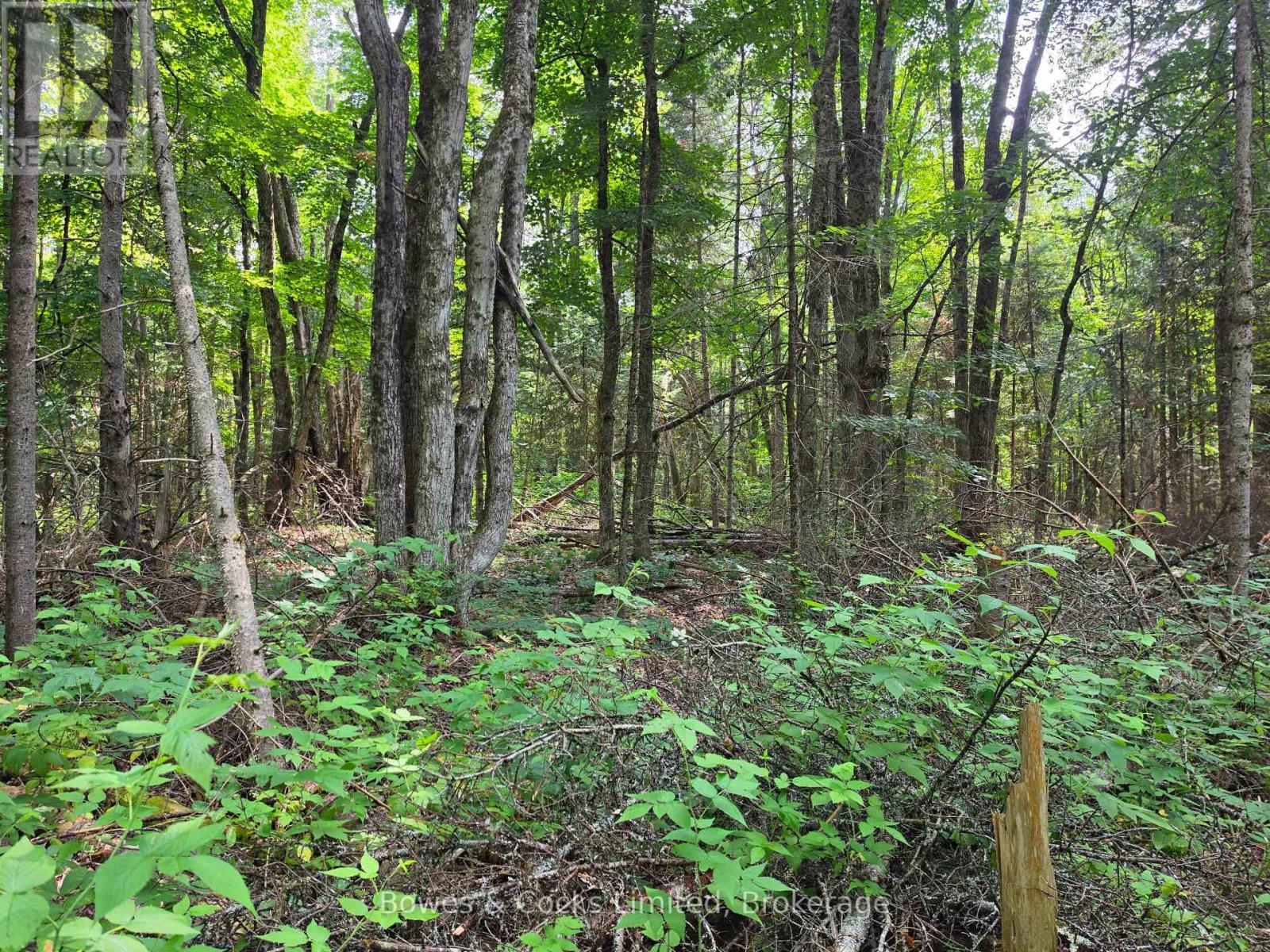 E 1/2 Of W 1/2 Lt 28 Concession 12, North Kawartha, Ontario  K0L 1A0 - Photo 6 - X13715606