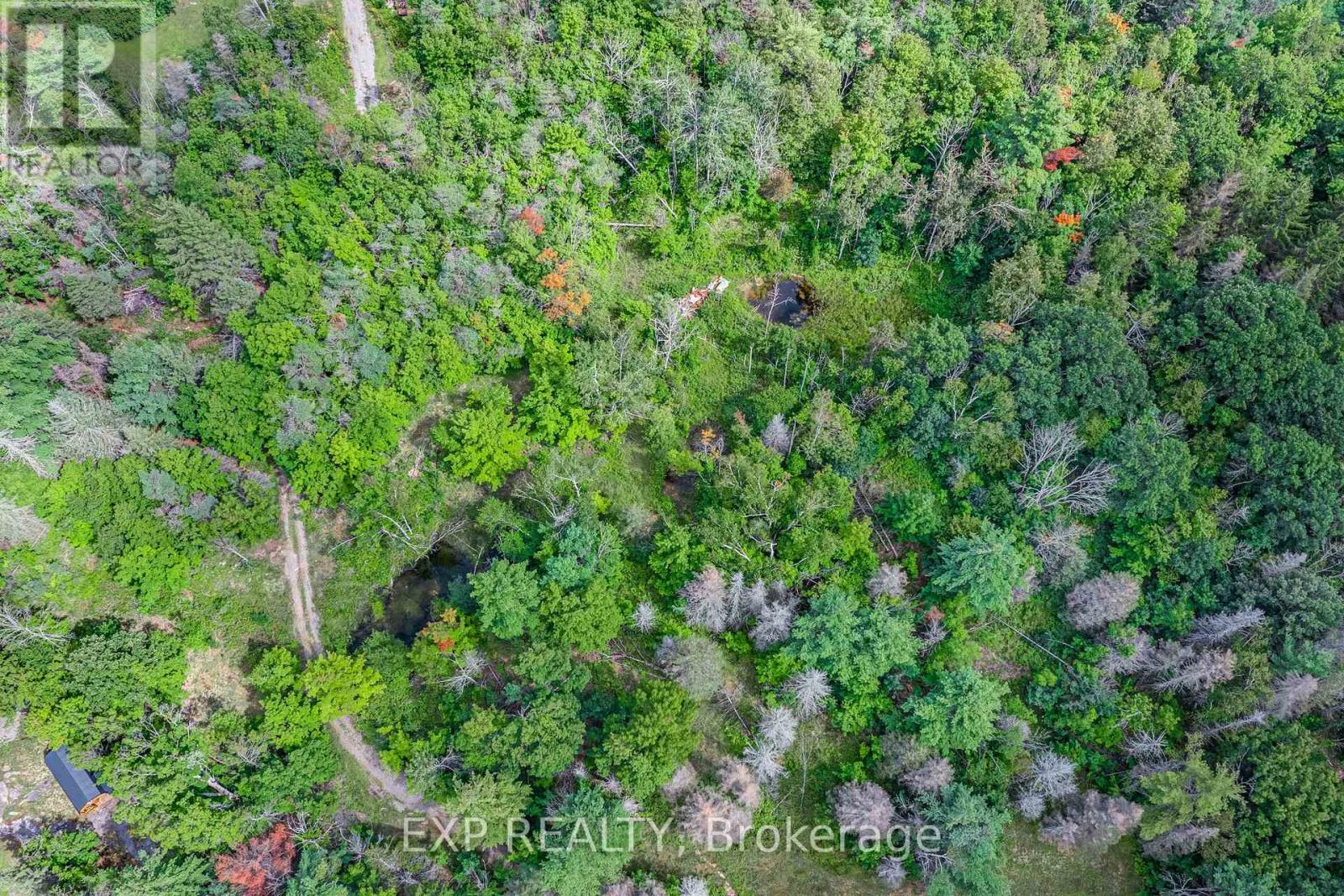 6608 Highway 28, North Kawartha, Ontario  K0L 1A0 - Photo 44 - X13717420