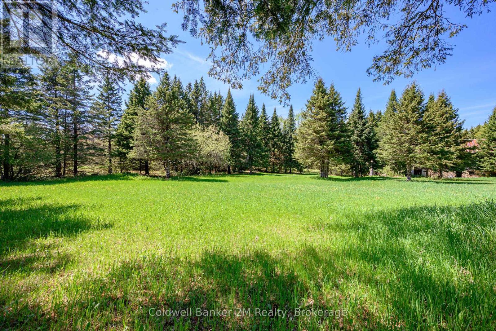 18917 Highway 118, Highlands East (Monmouth), Ontario  K0L 2Y0 - Photo 19 - X13717824
