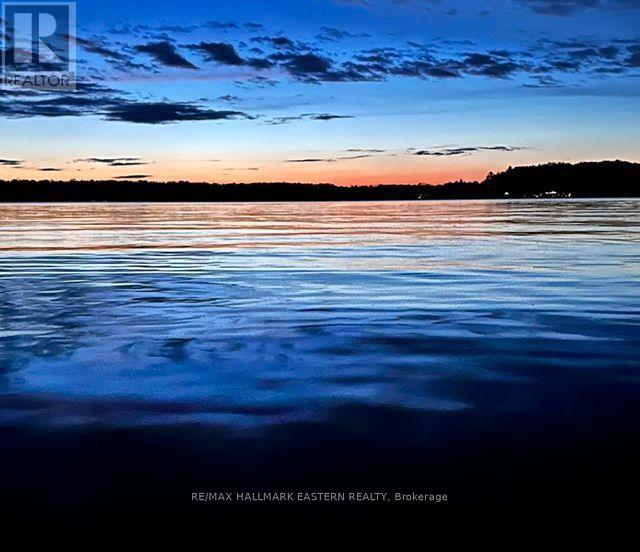 1714 Poplar Point Road, Selwyn, Ontario  K9J 6X5 - Photo 47 - X13719966