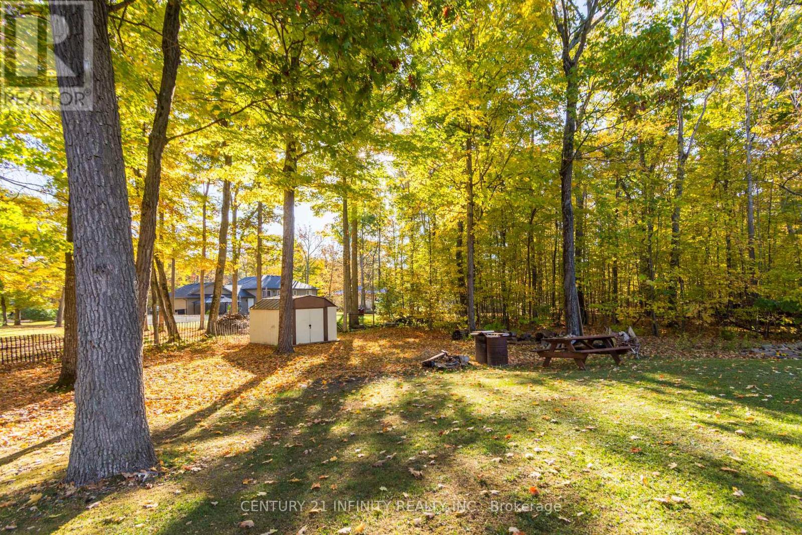 37 Riverside Drive, Trent Hills, Ontario  K0L 1L0 - Photo 45 - X13720958