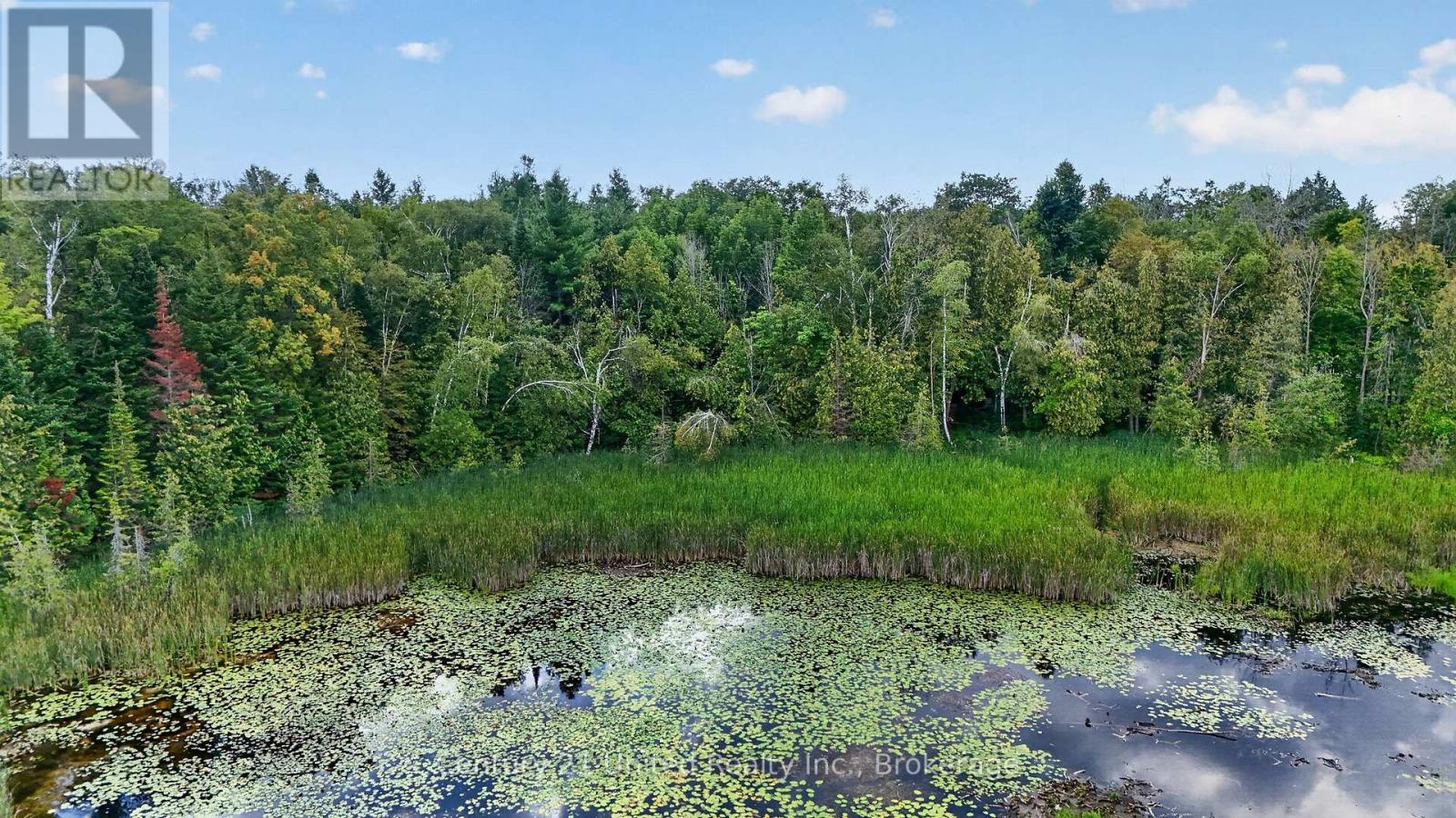 2619 Buckhorn Road, Selwyn, Ontario  K0L 2H0 - Photo 47 - X13721444