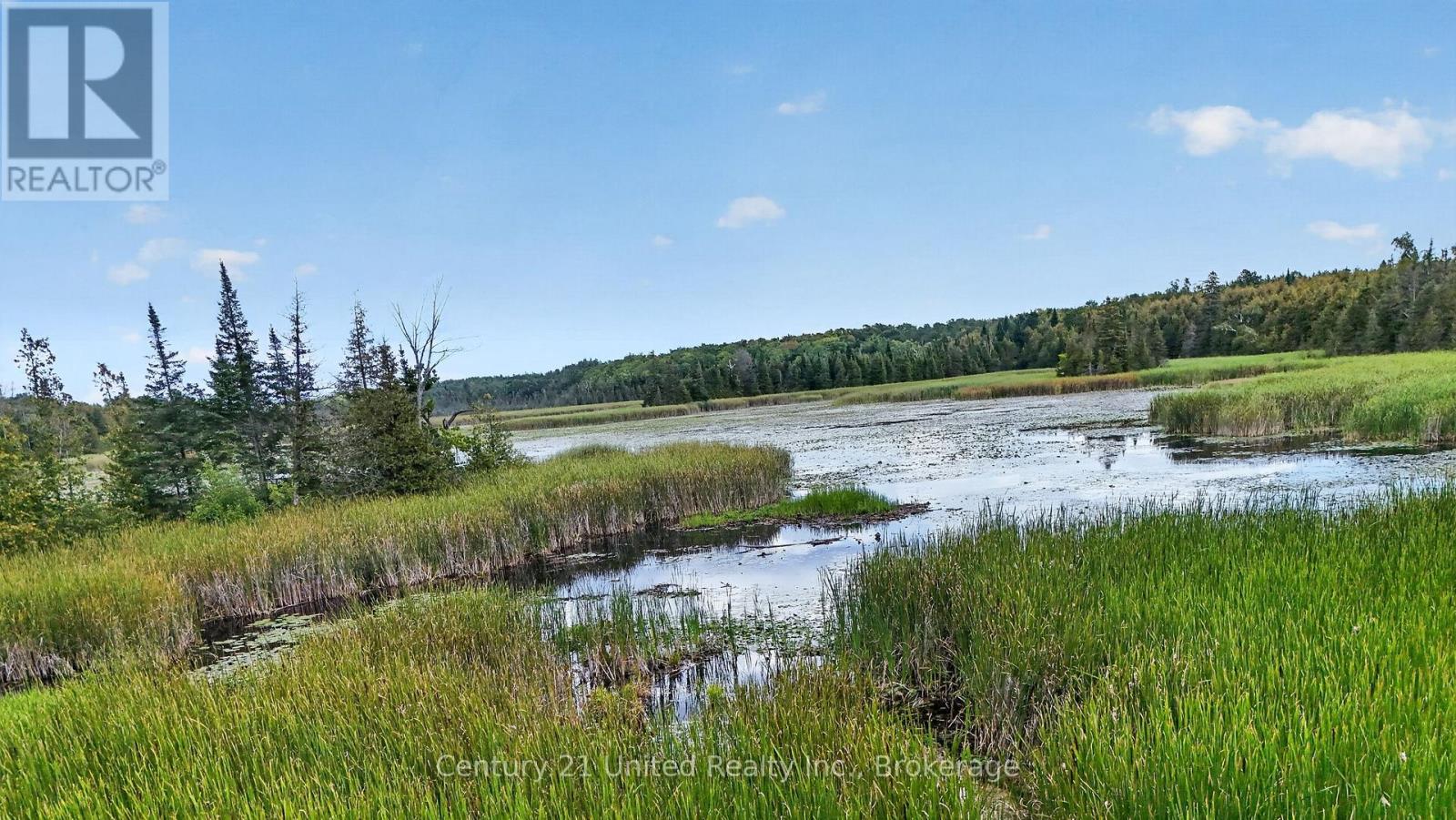 2619 Buckhorn Road, Selwyn, Ontario  K0L 2H0 - Photo 50 - X13721444
