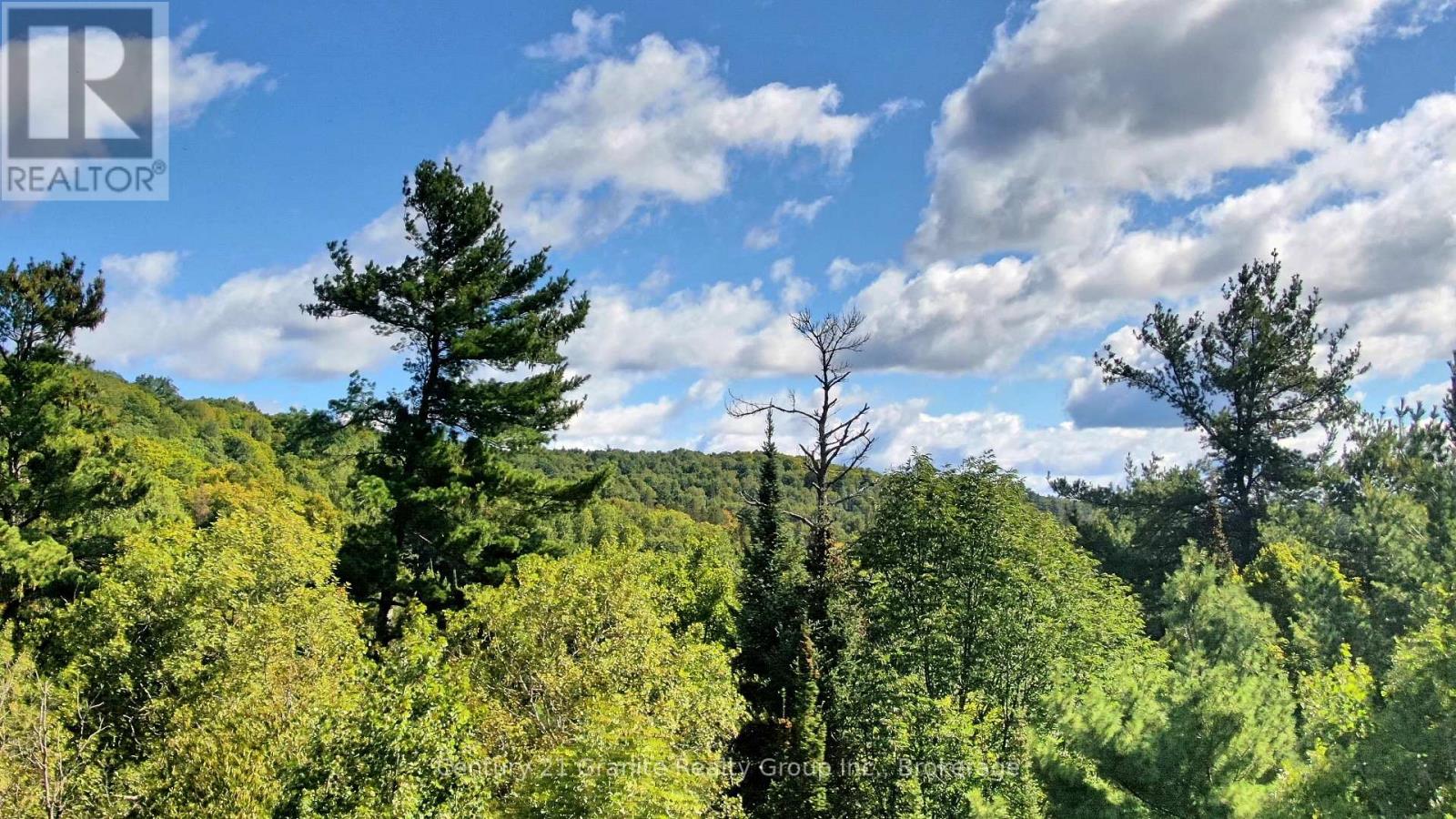 0 28 Highway E, Bancroft (Dungannon Ward), Ontario  K0L 1C0 - Photo 13 - X13723044