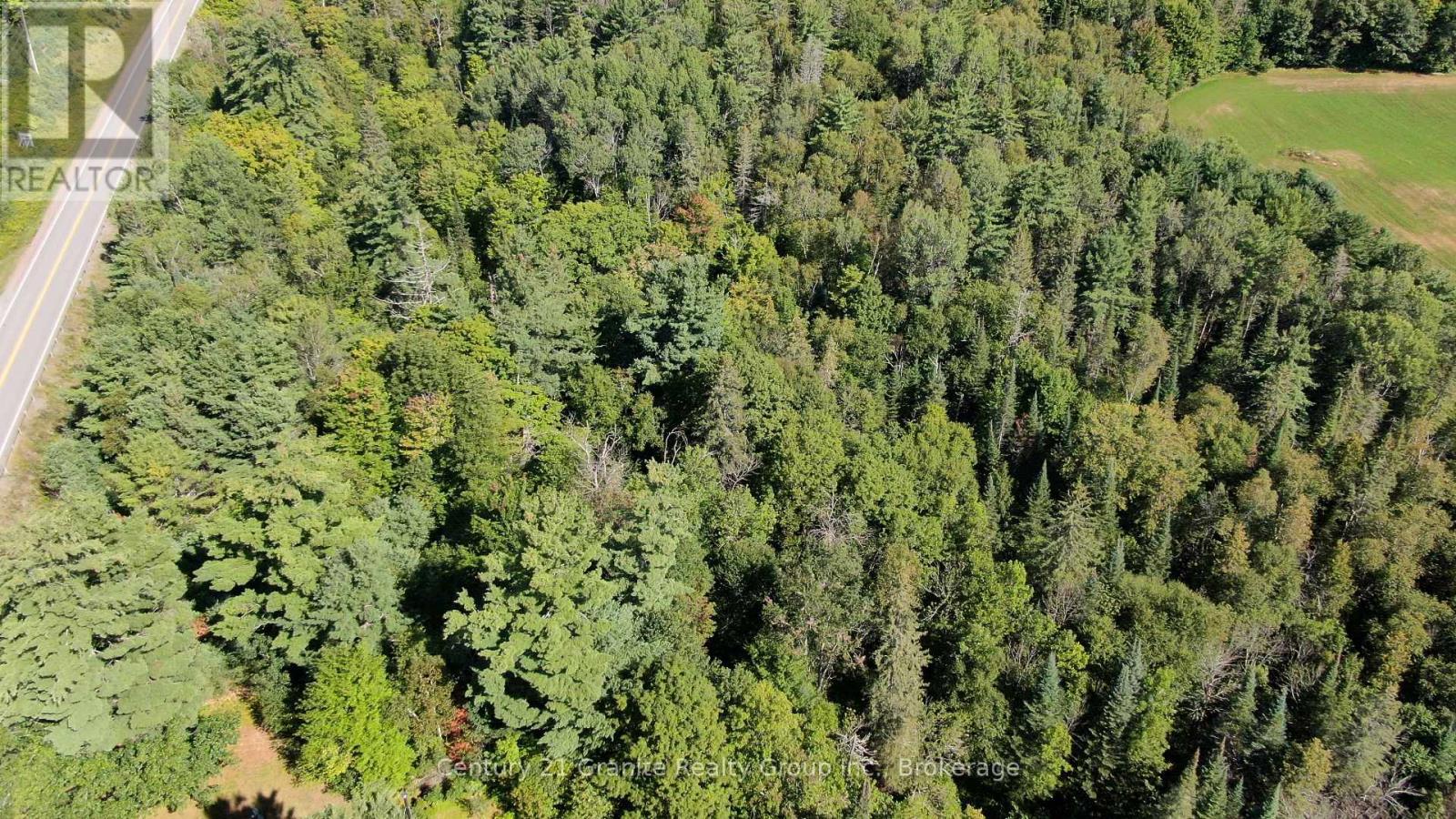 0 28 Highway E, Bancroft (Dungannon Ward), Ontario  K0L 1C0 - Photo 3 - X13723044