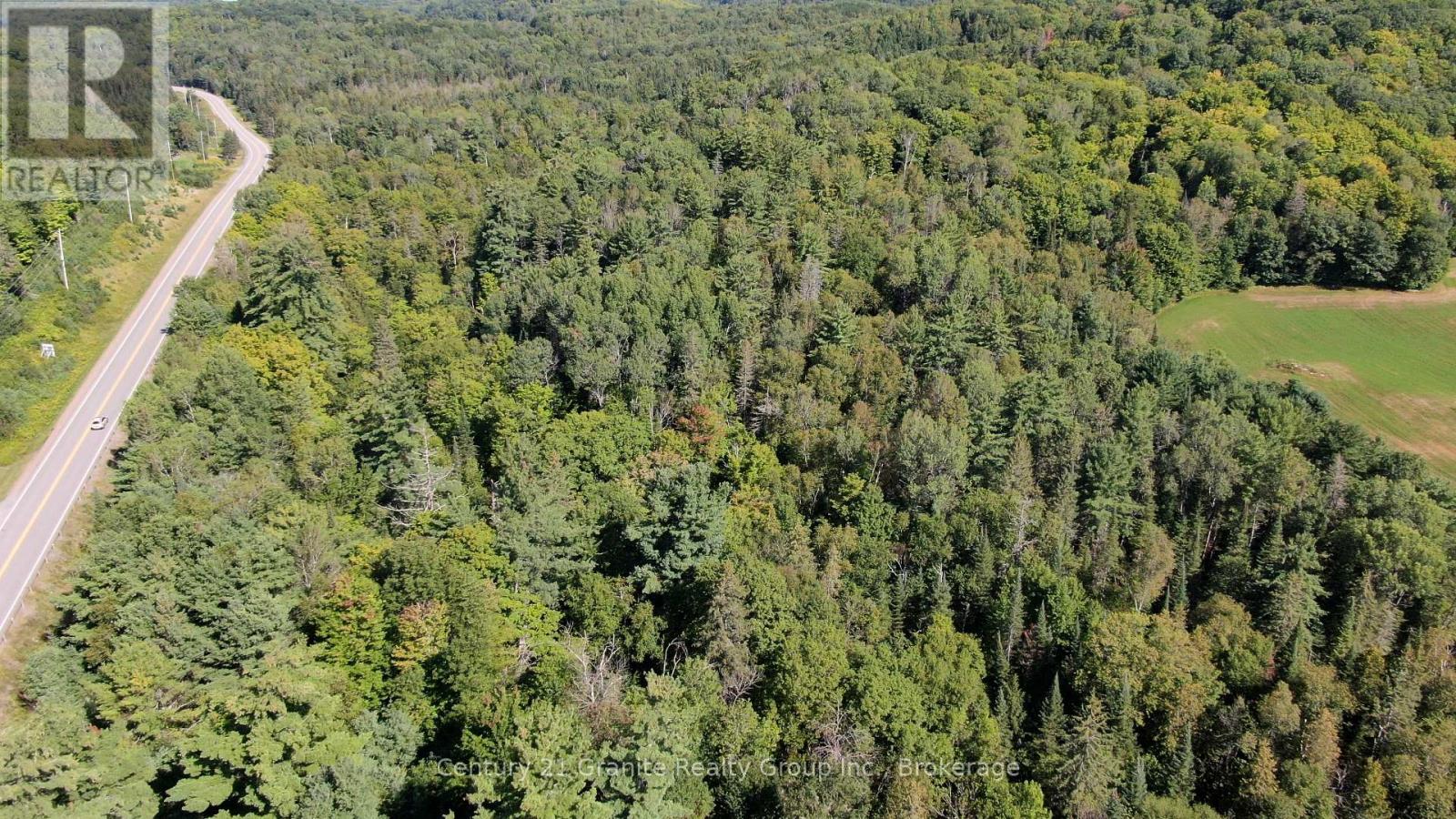0 28 Highway E, Bancroft (Dungannon Ward), Ontario  K0L 1C0 - Photo 4 - X13723044