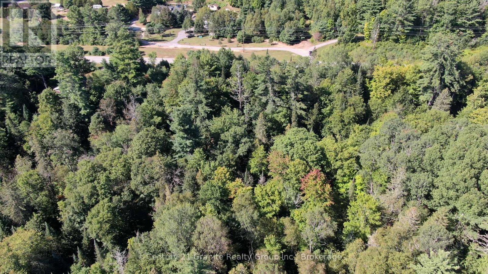 0 28 Highway E, Bancroft (Dungannon Ward), Ontario  K0L 1C0 - Photo 5 - X13723044