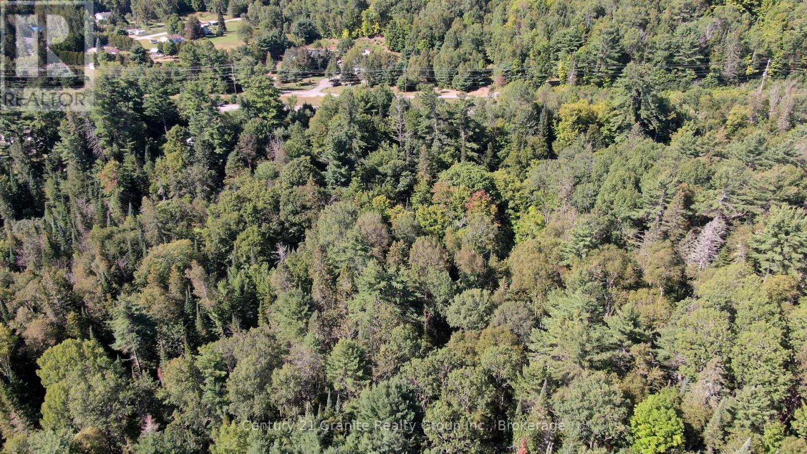 0 28 Highway E, Bancroft (Dungannon Ward), Ontario  K0L 1C0 - Photo 6 - X13723044
