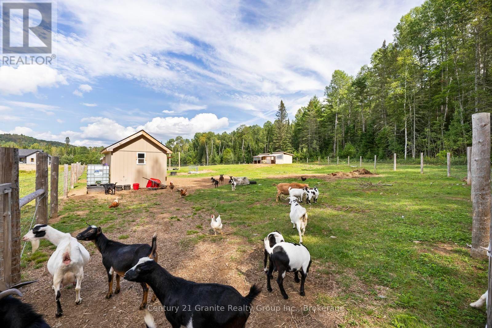 605 Browns Road, Lyndoch And Raglan, Ontario  K0L 1G0 - Photo 43 - X13723736