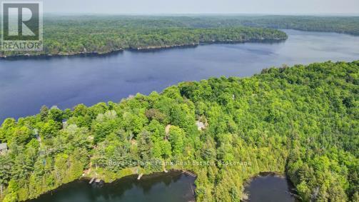42 Jade Court, Marmora And Lake (Lake Ward), Ontario  K0L 1P0 - Photo 33 - X13724098