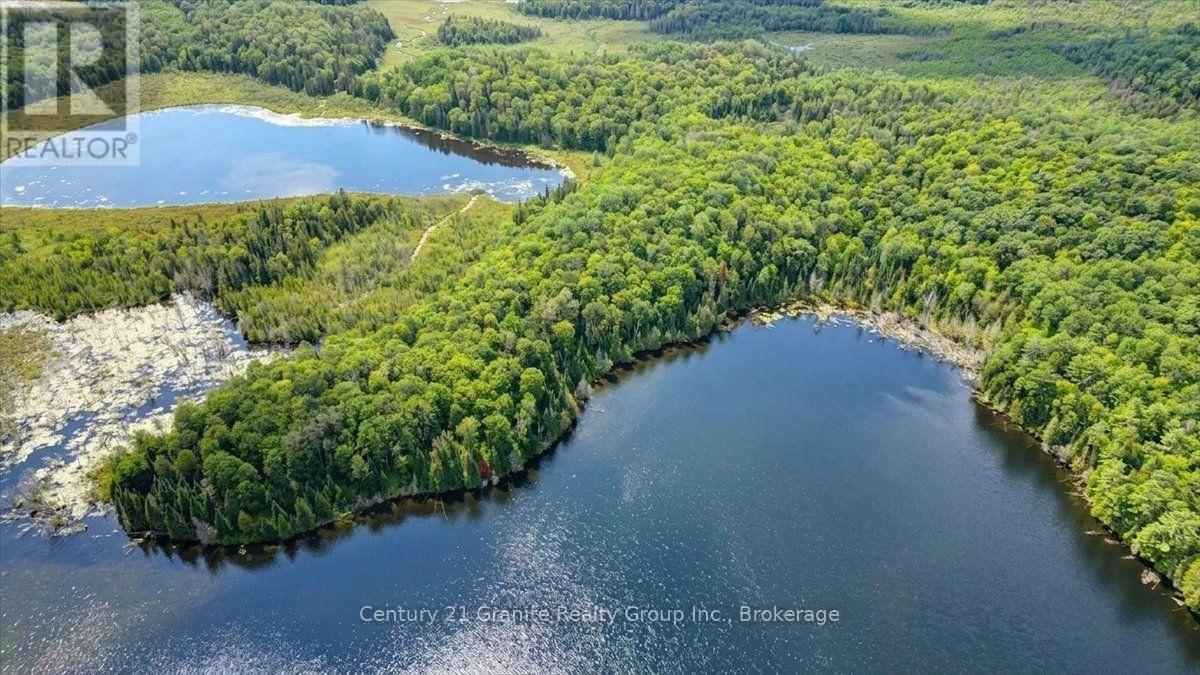 2128 Old Hastings Road, Wollaston, Ontario  K0L 2L0 - Photo 26 - X13728014