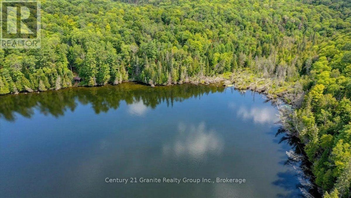 2128 Old Hastings Road, Wollaston, Ontario  K0L 2L0 - Photo 27 - X13728014